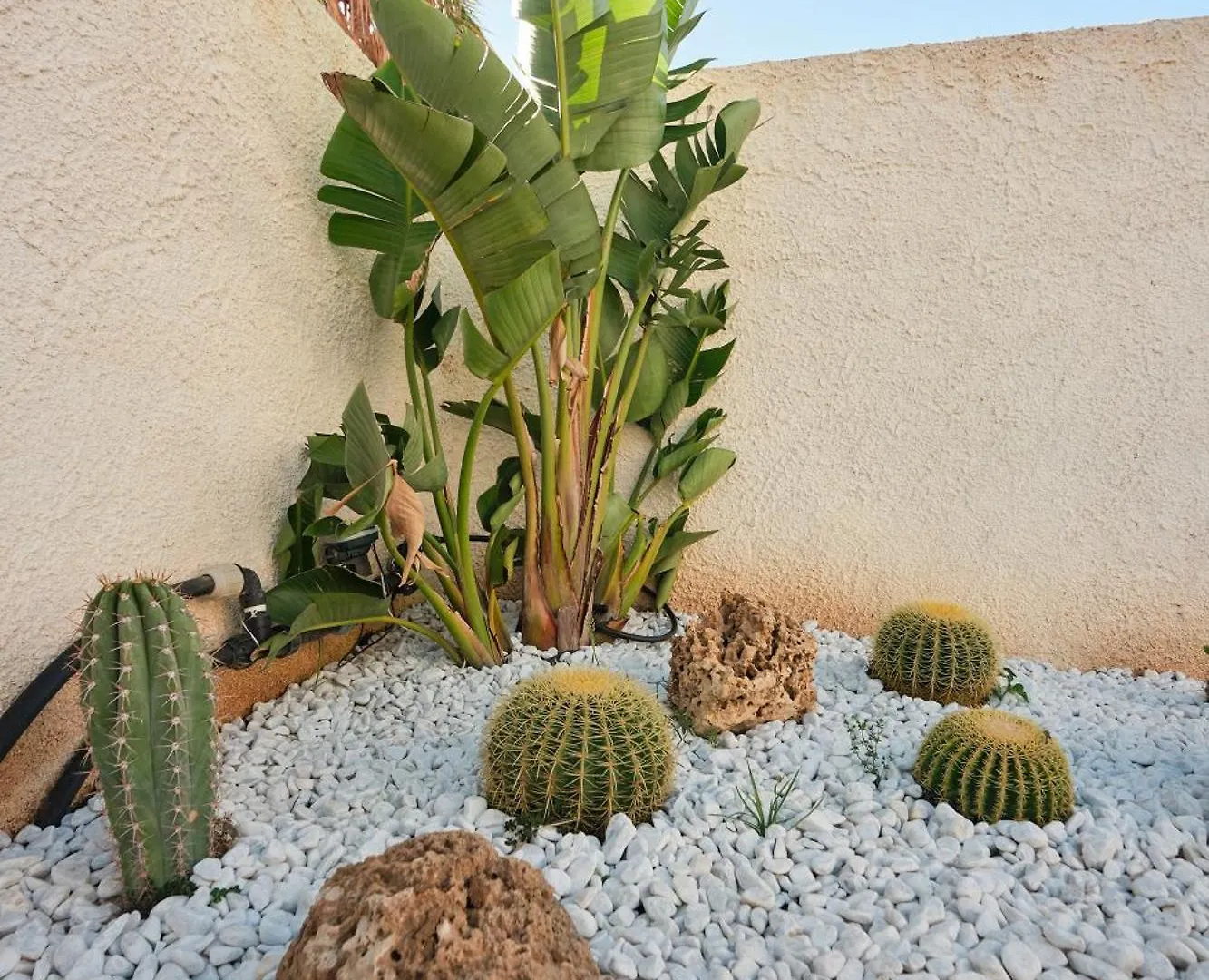 Villa Canepa Marsala